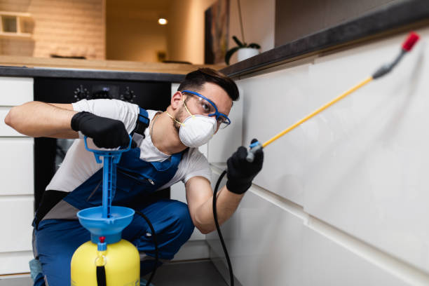 Best Pest Removal Services  in Springfield, OH