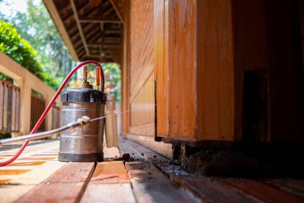 Best Pest Control for Restaurants  in Springfield, OH