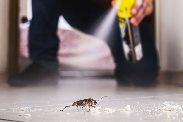 Best Commercial Pest Control Services  in Springfield, OH